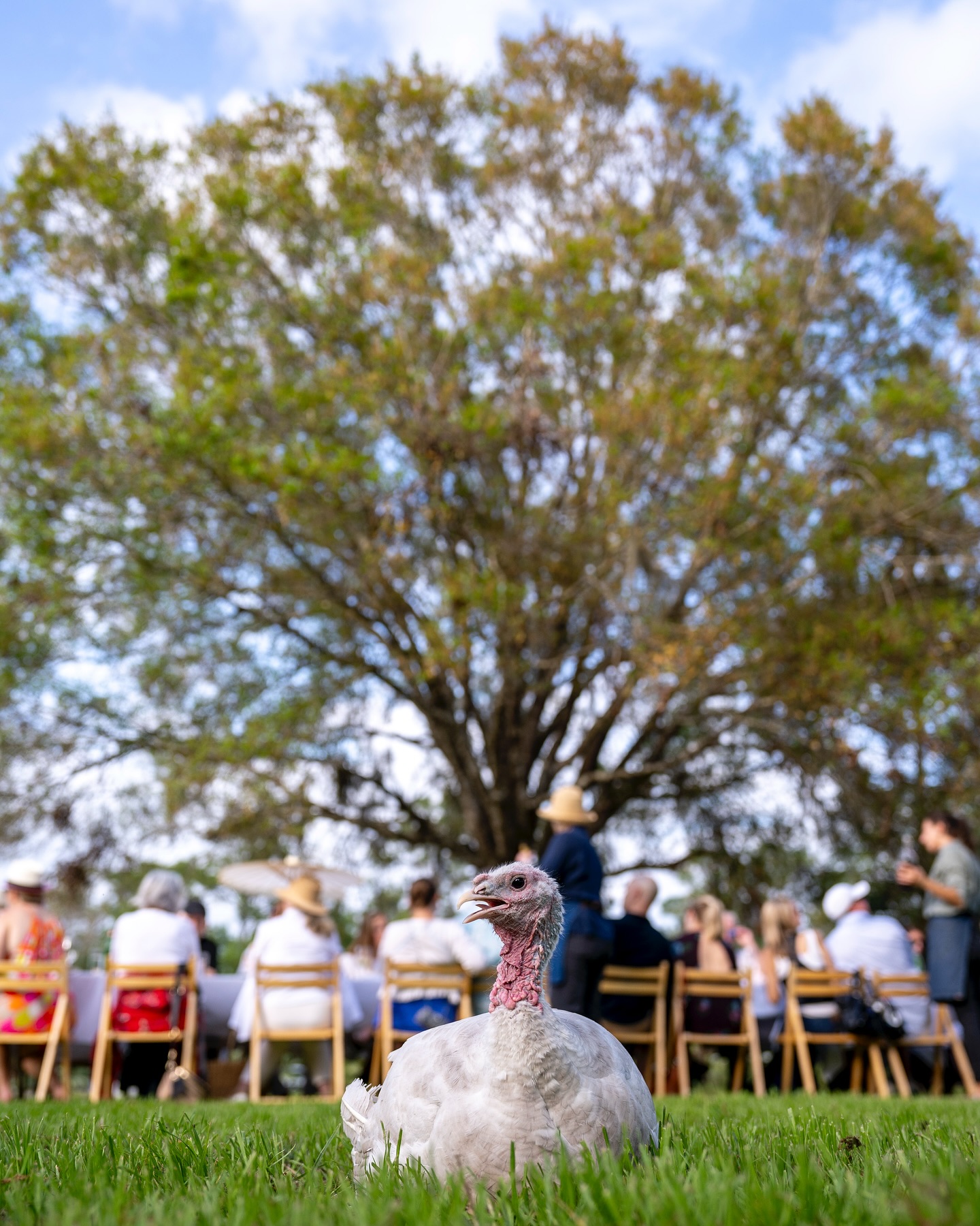 During the @out_inthefield dinner event at @jupitercreamery guests had a chance to appreciate and interact with all of t…