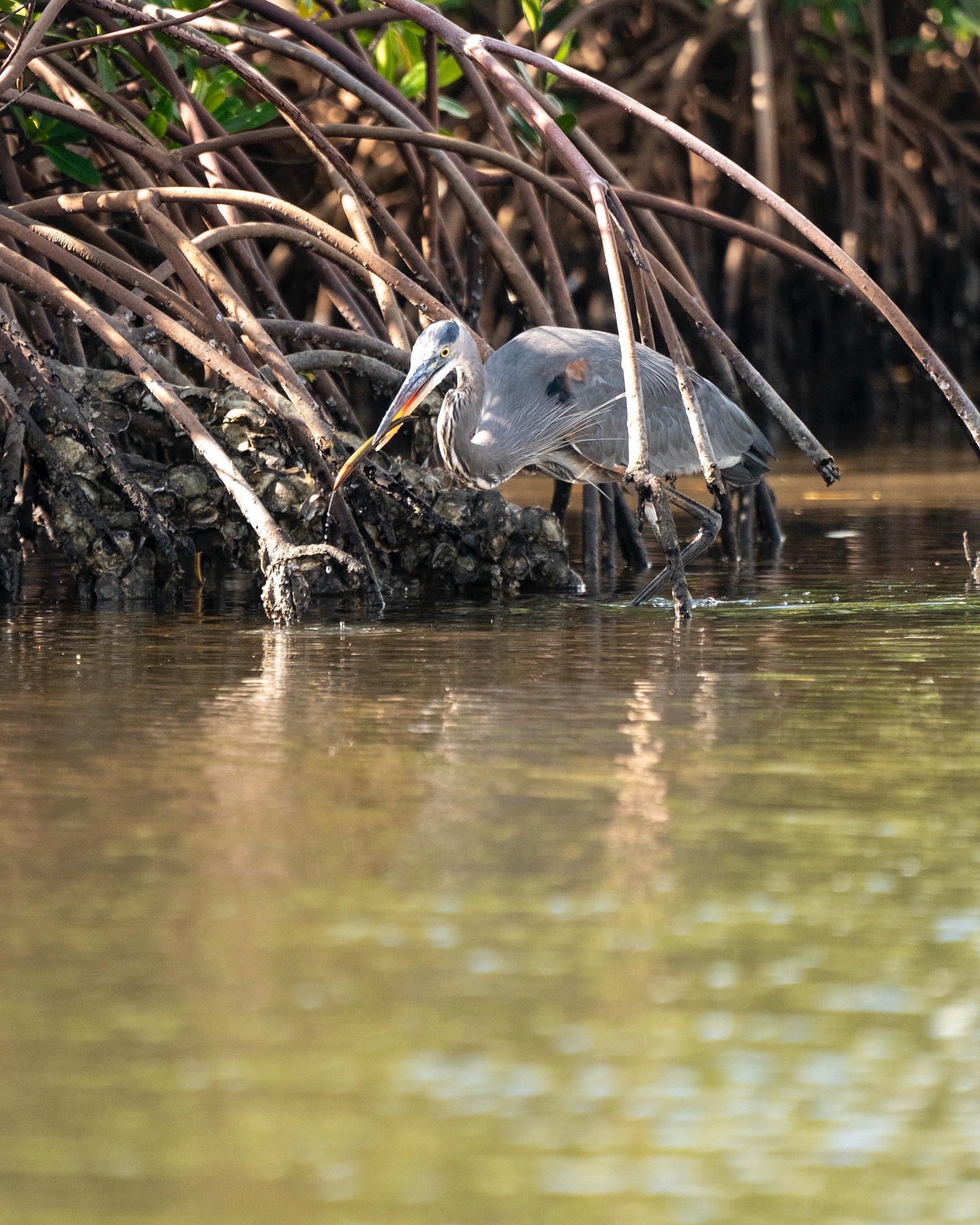 Got to see some beautiful wildlife.