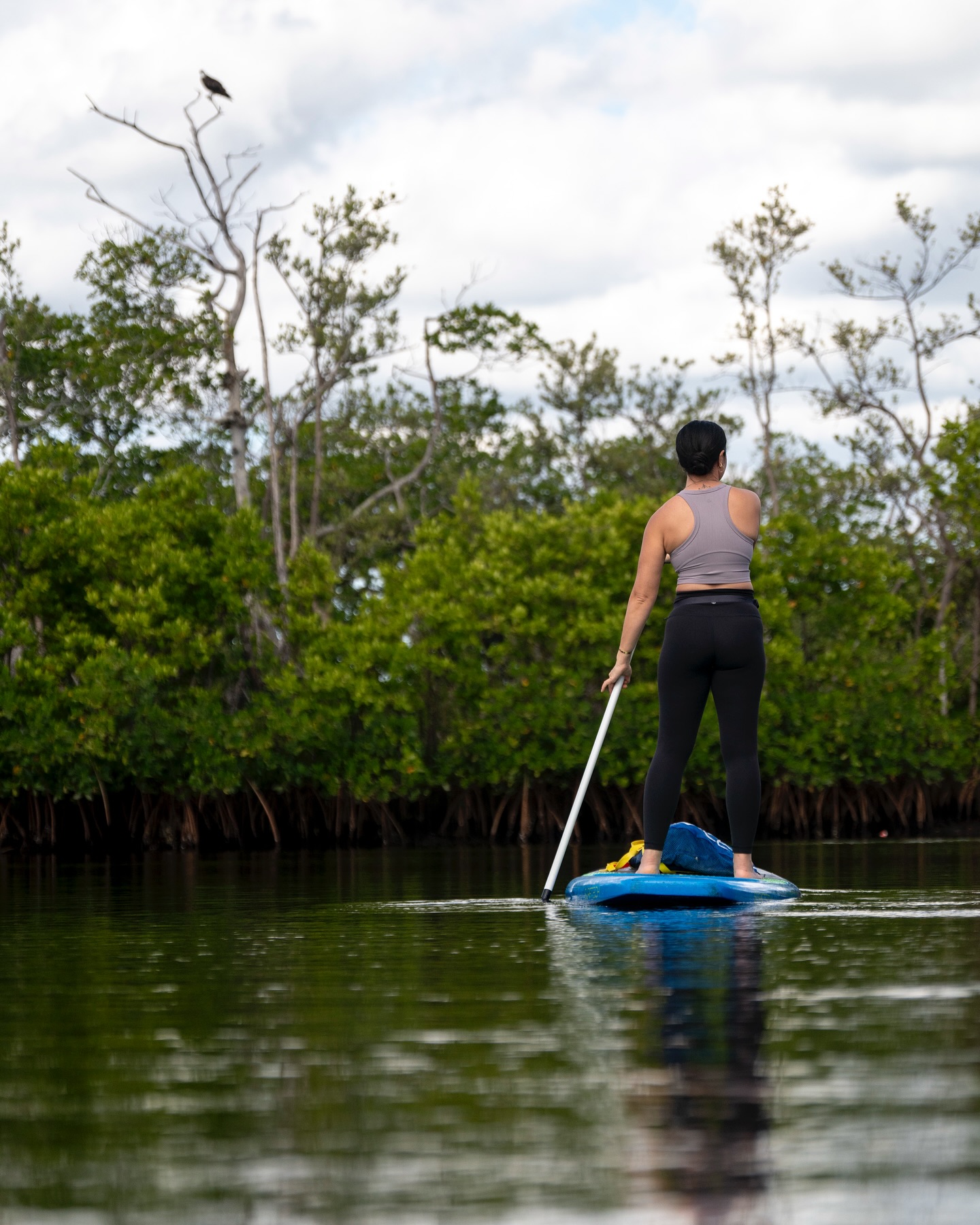 @jewishpalmbeach and @bluelinesurf_paddleco waterway cleanup. @4ocean